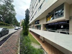 Pandan Valley (D21), Shop House #482460161